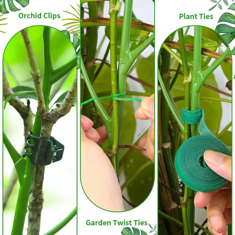  Рамка за подпомагане на катеренето на растенията 39.37 инча се смесва в растението, клон растителни пръчки пергола за растения Изображение 2