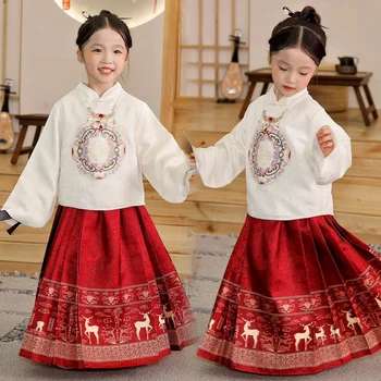 2023 Момичета конска пола бродерия печатни изпълнение рокля комплект китайски стил есен и зима дълъг ръкав Tang рокля Hanfu 1