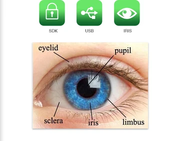 Нови продукти Handheld Free SDK Dual Eyes USB Iris Recognition Scanner 1