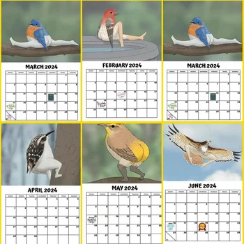 Комплект календар за бюро 2024 Комплект календар на изключително точни птици Карикатура Стоящ Flipdesktop календар Ежедневно планиране Месечно 2